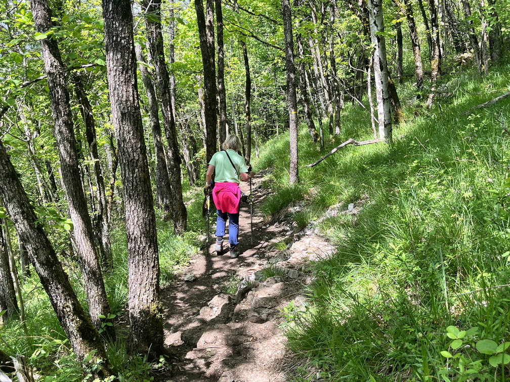 23-05-22 11-36-36 5551